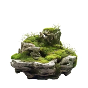 หินประดับ SS08